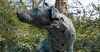 Brown Dog by Nicola Hicks