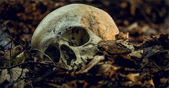 8,000 year old human skull