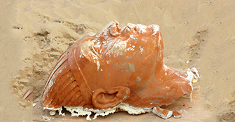 Archaeologists unearth 'sphinx' in California sand dunes