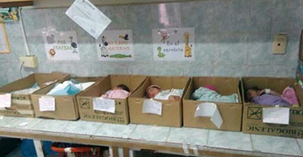 Recién nacidos en cajas de cartón