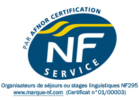 logo NF