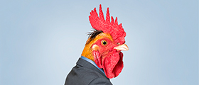 Les animaux ont la parole